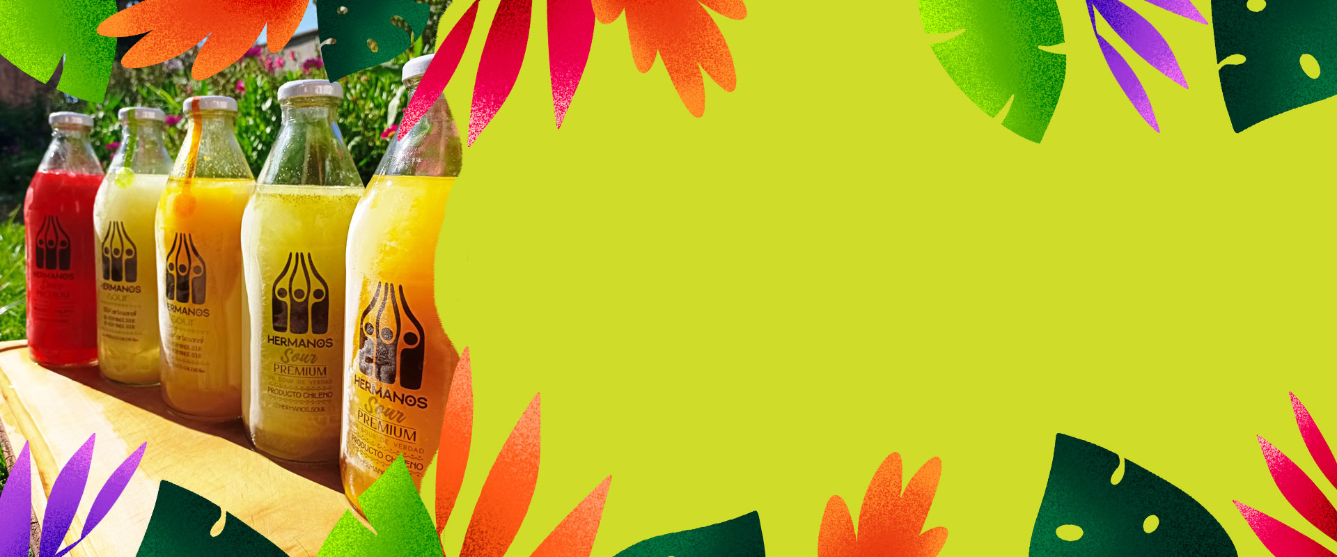 pisco sour chileno artesanal con despacho a domicilio